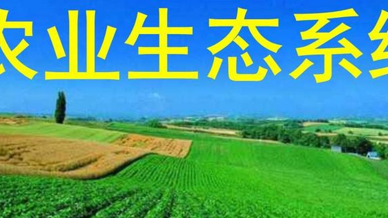 有机蔬菜和转基因区别