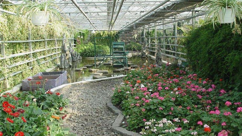 水源选择：种植地块的“生命之源”**