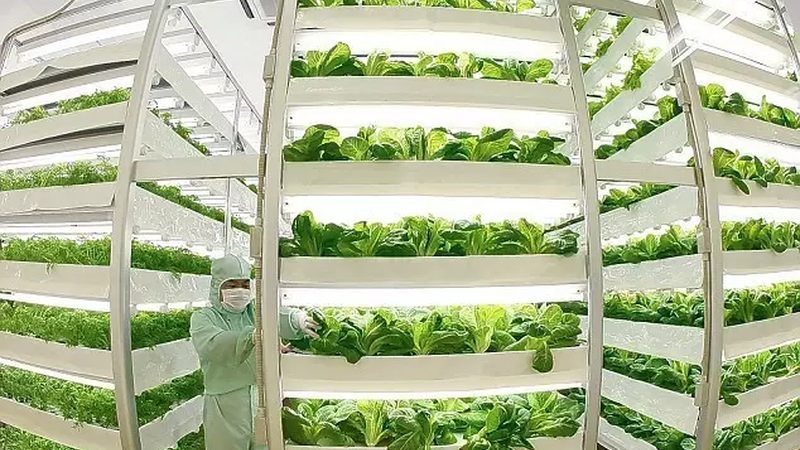 果园土壤改良步骤：科学养护，提升果实品质
