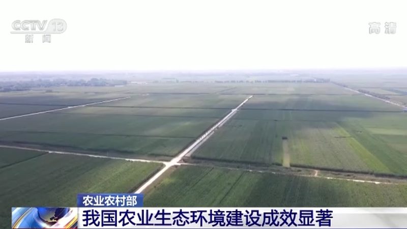 全国蔬菜批发价格波动背后的秘密**