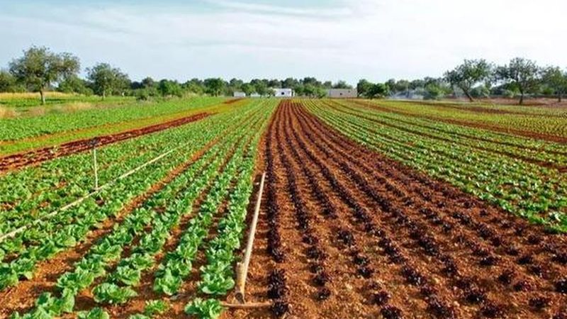 休闲农业观光园，如何打造生态旅游新亮点**