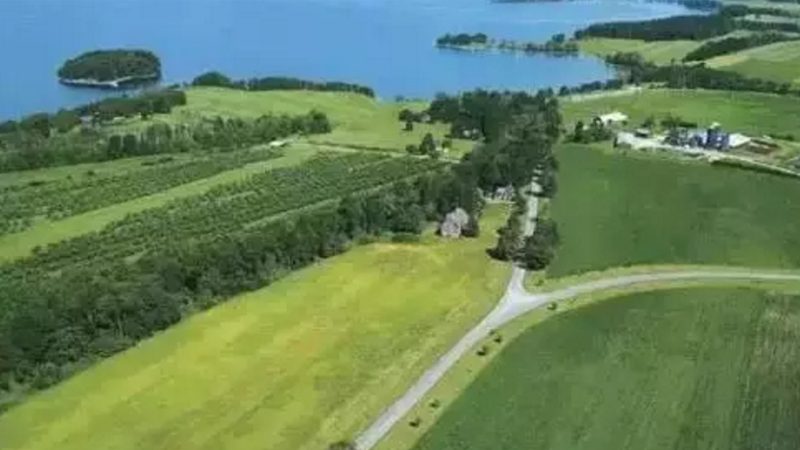 果蔬配送报价单里藏着哪些门道