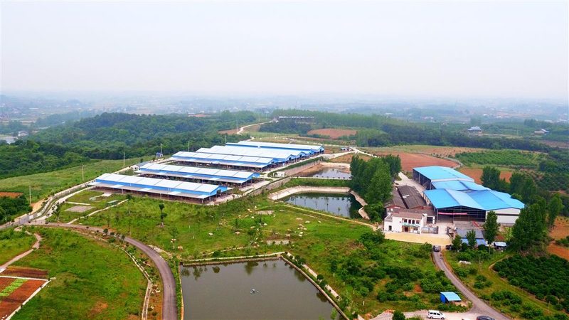 2025年全国农产品批发市场展会排期怎么看