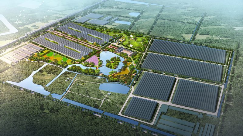 江西脐橙种植基地，如何挑选合适的代理？**