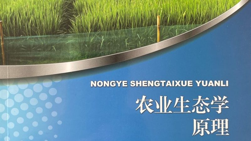 花卉种植，土壤先行：揭秘花卉种植流程与土壤选择之道