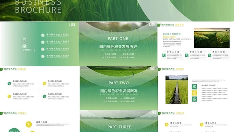 大棚葡萄的投入账本，算清这笔钱才能不白忙